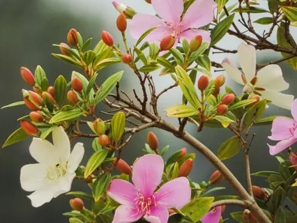 RAIN - What Is It Am I Unwilling To Feel?