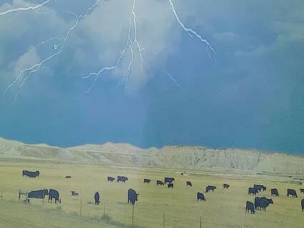 Rain, Wind And Thunder On The Plains