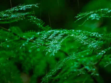 RAIN With Difficulty: Navigating Pain With Compassion