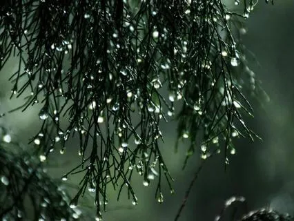 Rain With Relaxing Piano- 100 Minutes Pure Meditation Day 06