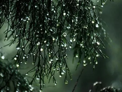 Rain With Relaxing Piano- 120 Minutes Pure Meditation Day 07