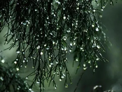 Rain With Relaxing Piano - 20 Minutes Pure Meditation Day 01