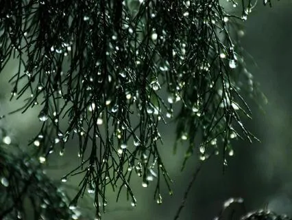 Rain With Relaxing Piano - 30 Minutes Pure Meditation Day 02