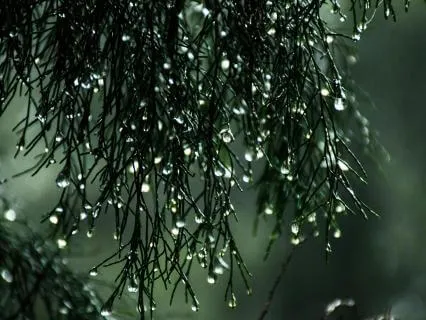 Rain With Relaxing Piano - 45 Minutes Pure Meditation Day 03