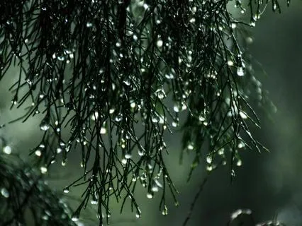 Rain With Relaxing Piano - 60 Minutes Pure Meditation Day 04