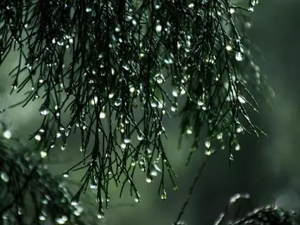 Rain With Relaxing Piano - 80 Minutes Pure Meditation Day 05