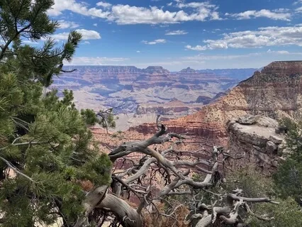 R.A.I.N. ~ A Reflective Meditation 