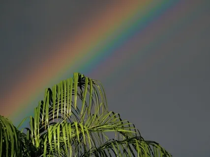 Surround Yourself In Your Own Rainbow