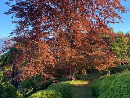 Rainbow Chakra Cleansing Meditation