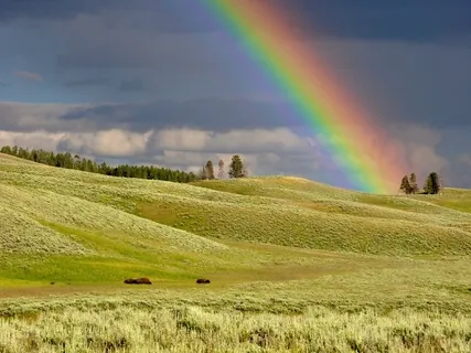 Rainbow Chakra Meditation