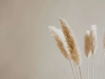 Rainbow Child Orchestra & Chorus