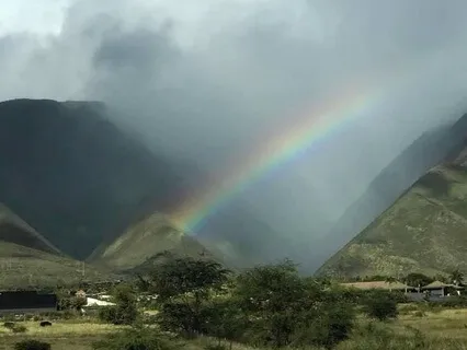 Rainbow Energy Cleanse