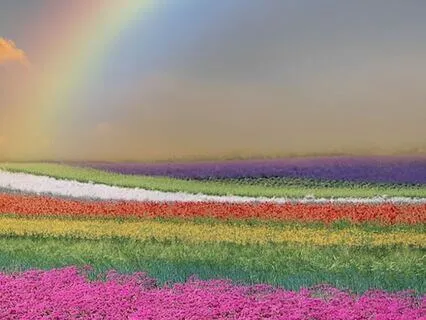 Rainbow Light Healing Meditation