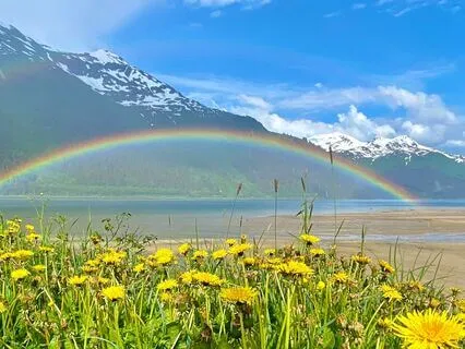 Rainbow Light Meditation