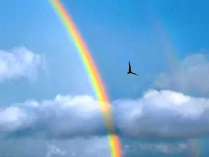 Rainbow Through My Tears | Song Medley