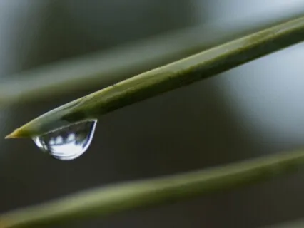 Raindrop Reiki For Deep Sleep