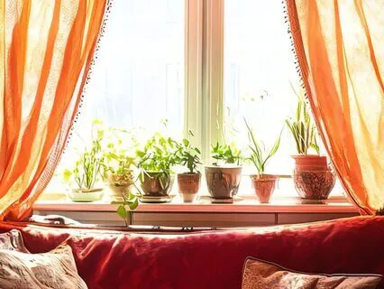 Raindrops and Green Corners Ambience