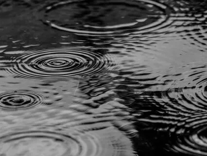 Raindrops In Puddles: A Little Harp Music