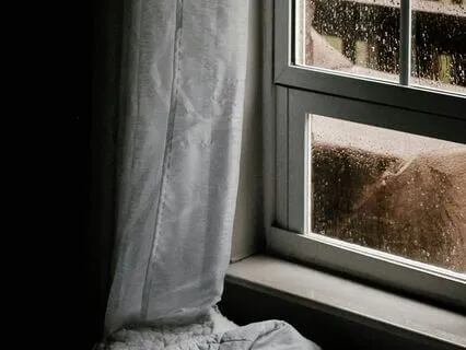 Raindrops On Glass: Tranquil Conservatory Ambience