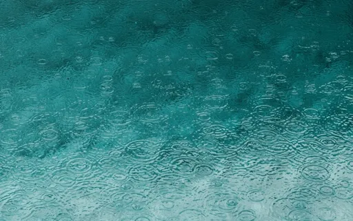 Raindrops On The Lake