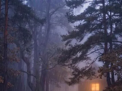 Rainfall and Wind for Stress Relief