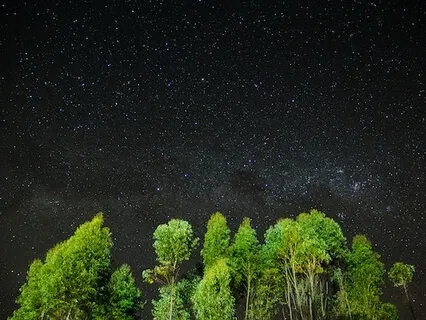 Rainforest (Delta Wave Binaural Music)