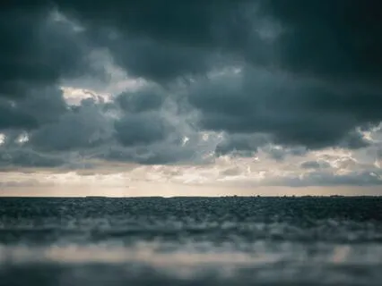 Rainforest Music For Work And Study