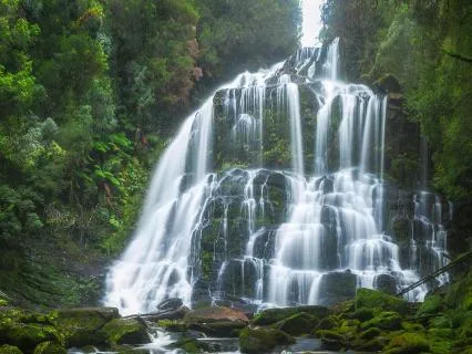 Rainforest Rest For Calm & Restore