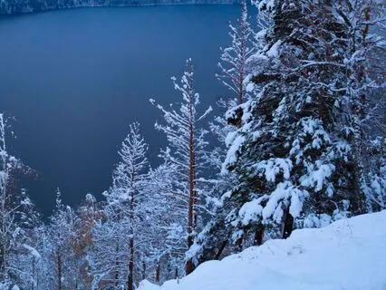 Rainforest Reverie | Native Flute & Frog Drum Harmony