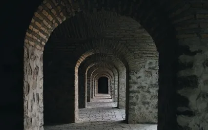 Rainforest Sound Healing