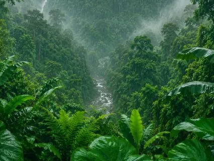 Rainforest Sounds | Jungle Ambience For Deep Sleep (10 H)