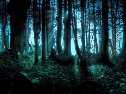 Rainforest Thunderstorm Sounds For Deep Sleep (With Music)