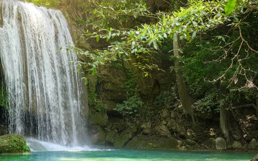 Rainforest Waterfall