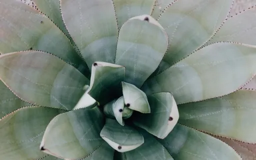 Raining Money Meditation For Increasing Abundance