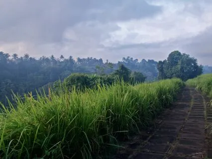 Rains - Solo Sansula Kalimba