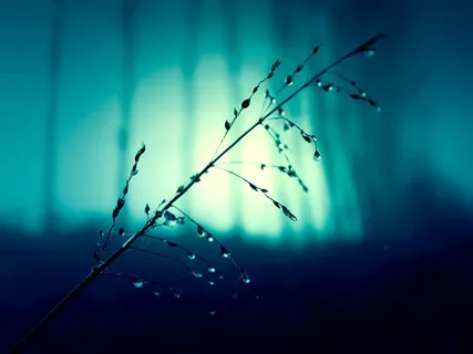 Rainstick For Deep Sleep