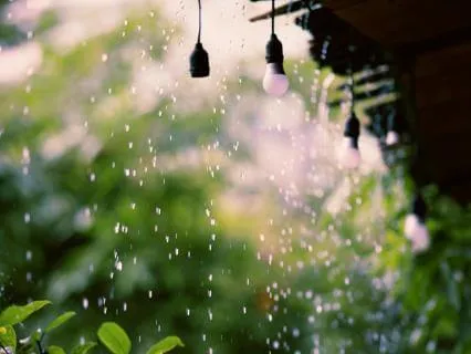 Rainstick Meditation for Deep Sleep and Relaxation 30 minute