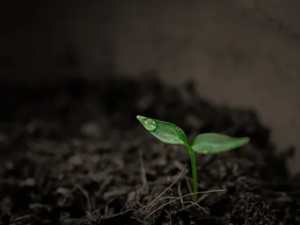 Rainstick Sound Bath For Grounding
