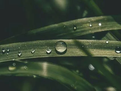 Rainstick Sounds for Stillness & Reflection (Long)