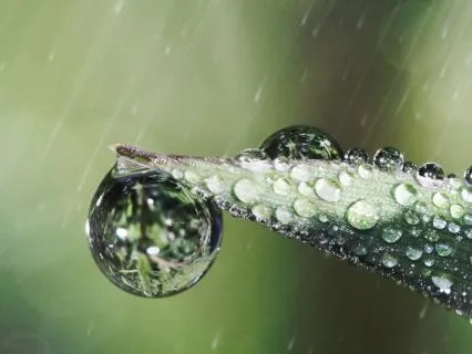 Rainstick Sounds for Stillness & Reflection (Short)