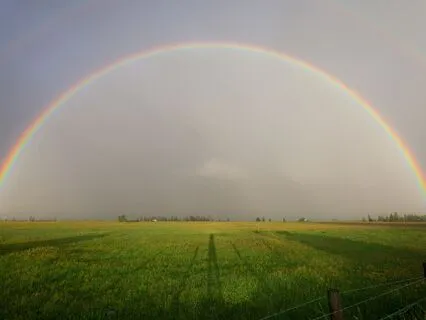 Rainstorm Serenity: 40Hz Gamma Waves & Relaxation