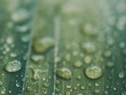 Rainstorm Sound Healing Meditation