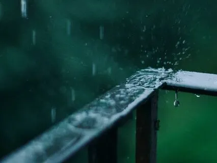 Rainy Bliss: Afternoon Reflections