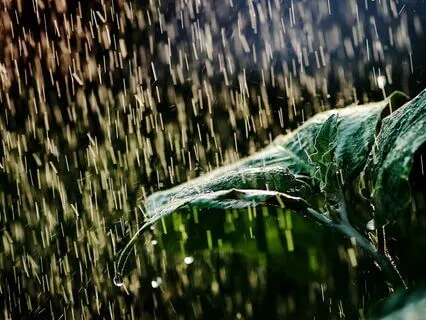 Rainy Day Blues For Emotional Release And Healing