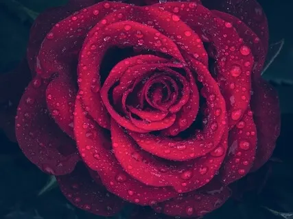 Rainy Day Breath Awareness