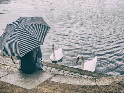 Rainy Day In Denmark