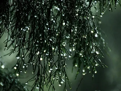 Rainy Day Relaxation Meditation