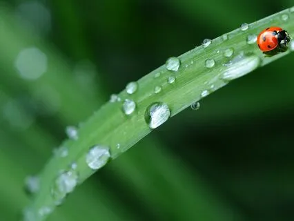 Rainy Day Relaxation