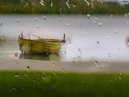 Rainy Day - Relaxing Sounds Of Nature (8 hours)