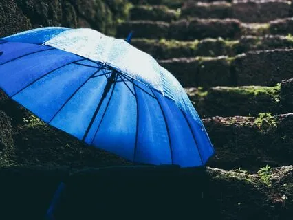 Rainy Dreams | Sleep Story